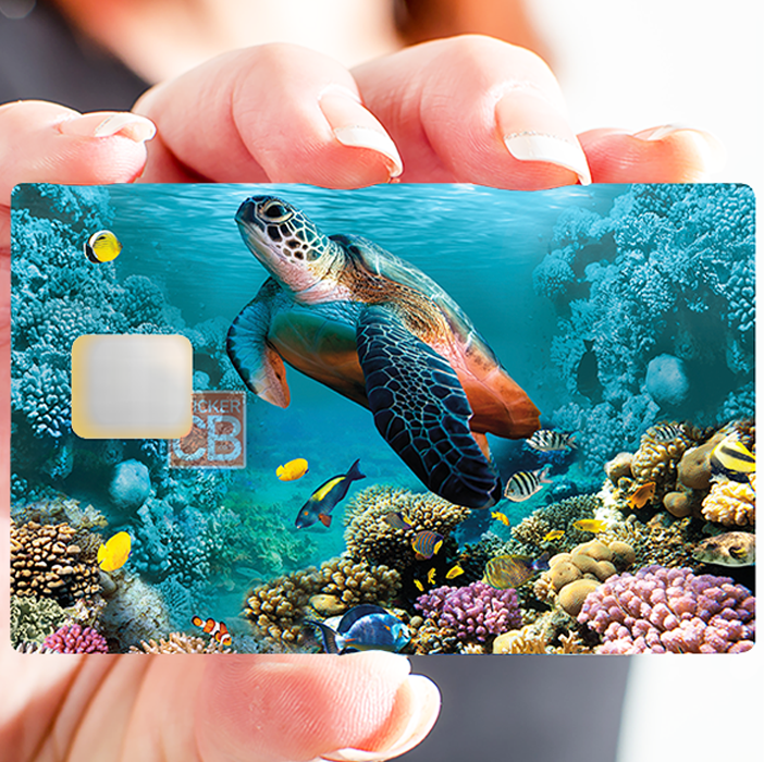 Meeresschildkröte - Kreditkartenaufkleber, 2 Kreditkartenformate verfü –  CatarinaCalavera