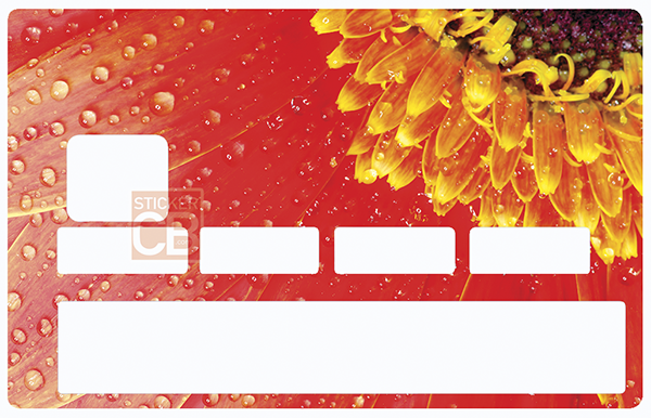 Marguerite Rouge - sticker pour carte bancaire, 2 formats de carte