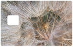 Fleur de pissenlit - sticker pour carte bancaire, 2 formats de carte bancaire disponibles