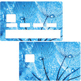 Frost flower- credit card sticker, 2 credit card formats available