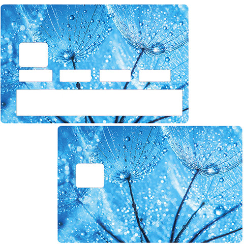 Frostblumen- Kreditkartenaufkleber, 2 Kreditkartenformate erhältlich