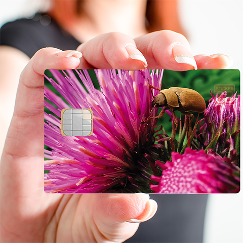 Chardons et insectes - sticker pour carte bancaire, 2 formats de carte bancaire disponibles