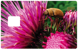 Chardons et insectes - sticker pour carte bancaire, 2 formats de carte bancaire disponibles