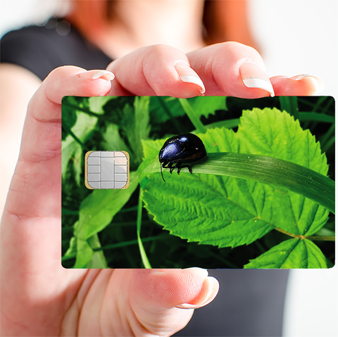La nature au printemps - sticker pour carte bancaire, 2 formats de carte bancaire disponibles
