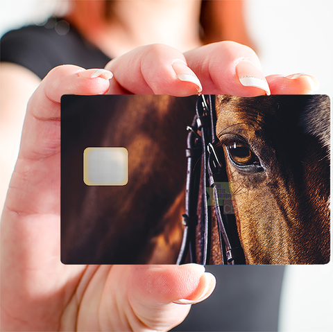 Pferde- Kreditkartenaufkleber, 2 Kreditkartenformate verfügbar