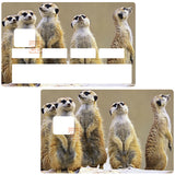 Les Suricates - sticker pour carte bancaire, 2 formats de carte bancaire disponibles