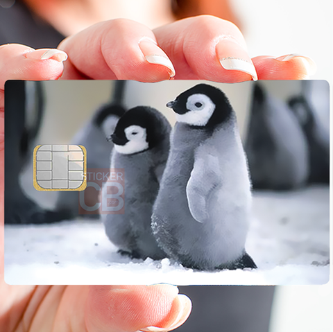 Bébé pingouins- sticker pour carte bancaire, 2 formats de carte bancaire disponibles