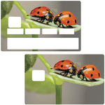 les coccinelles - sticker pour carte bancaire, 2 formats de carte bancaire disponibles