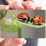 les coccinelles - sticker pour carte bancaire, 2 formats de carte bancaire disponibles