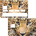 Leopardenkopf - Kreditkartenaufkleber, 2 Kreditkartenformate verfügbar