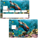 Tortue Marine - sticker pour carte bancaire, 2 formats de carte bancaire disponibles