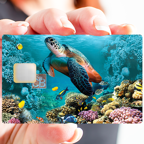 Tortue Marine - sticker pour carte bancaire, 2 formats de carte bancaire disponibles