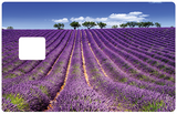 Lavender Fields- credit card sticker, 2 credit card formats available