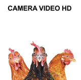 Sticker pour boîte aux lettres, Caméra vidéo HD