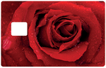 Red rose - credit card sticker, 2 credit card sizes available