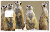 Les Suricates - sticker pour carte bancaire, 2 formats de carte bancaire disponibles