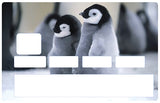 Bébé pingouins- sticker pour carte bancaire, 2 formats de carte bancaire disponibles