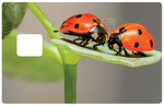 ladybugs - credit card sticker, 2 credit card formats available