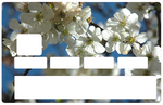 Les Fleurs de cerisiers - sticker pour carte bancaire, 2 formats de carte bancaire disponibles