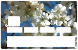 Les Fleurs de cerisiers - sticker pour carte bancaire, 2 formats de carte bancaire disponibles