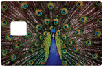 The Peacock - sticker for bank card, US format